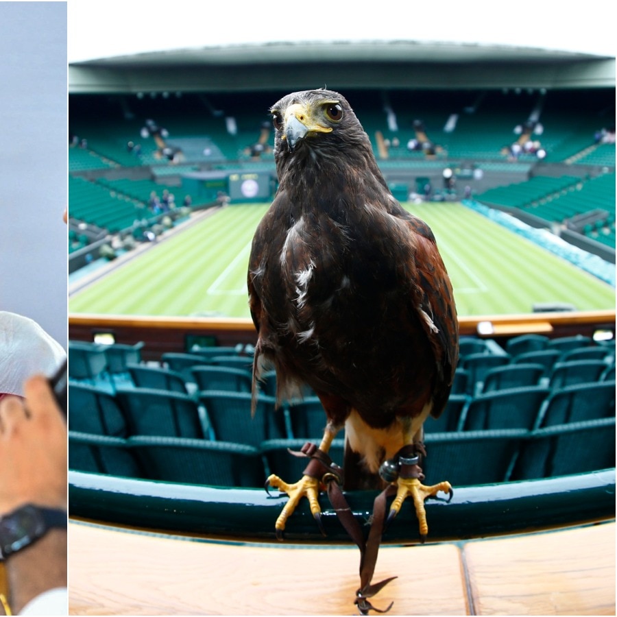 PV Sindhu defends monkey whisperer plan, draws parallel with Wimbledon's hawk