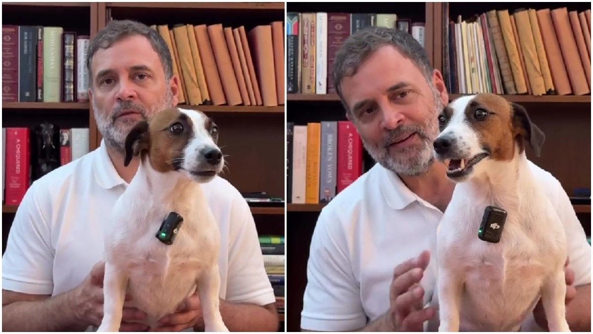 Rahul Gandhi's video with pet dog Noorie comes with a thoughtful message on animals