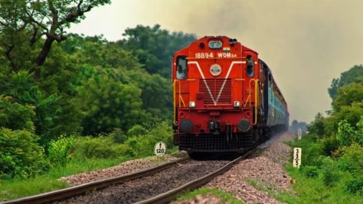 Wildlife panel clears Madhya Pradesh rail project using 200 hectares in tiger corridor