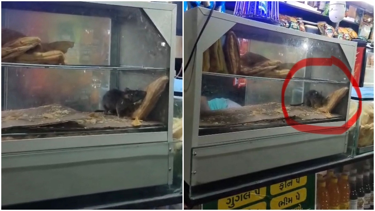 Food Stall at Surat Railway Station Shut Down After Rat Spotted Eating Puff