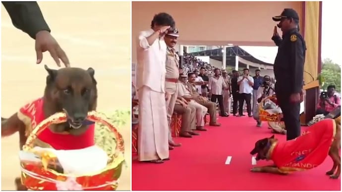 Sniffer dog 'Rocky' welcomes Tamil Nadu CM Vijay with flowers at police medal ceremony