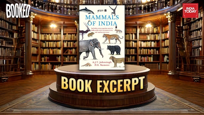 The threats Elephants in India face, and how to save them The threats Elephants in India face, and how to save them
