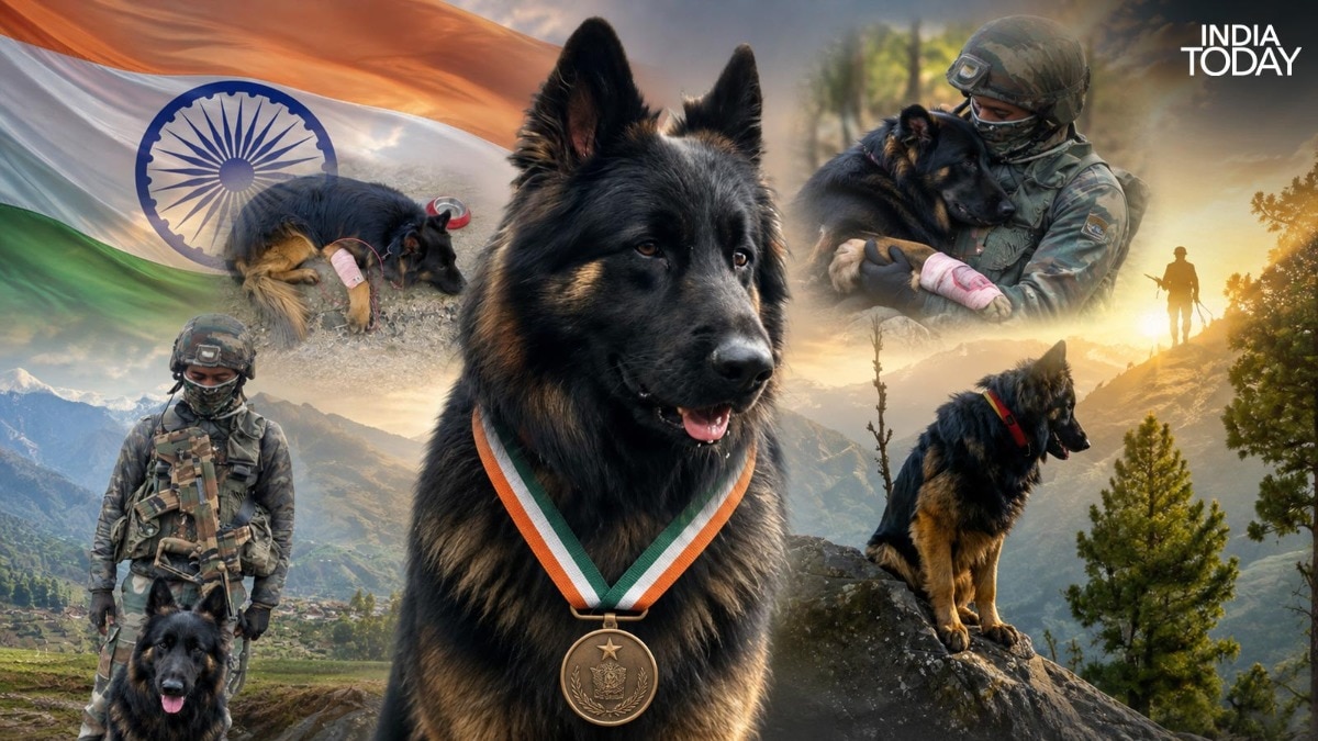 Meet Tyson, the only Army dog honoured on Independence Day for his bravery this year
