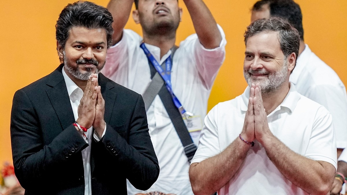 Vijay backs Rahul Gandhi as PM face, says Tamil Nadu Congress leader