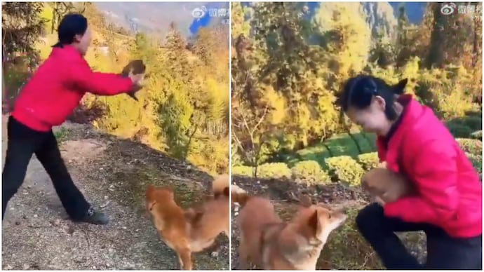 Woman scares dog by pretending to throw its puppy off hill