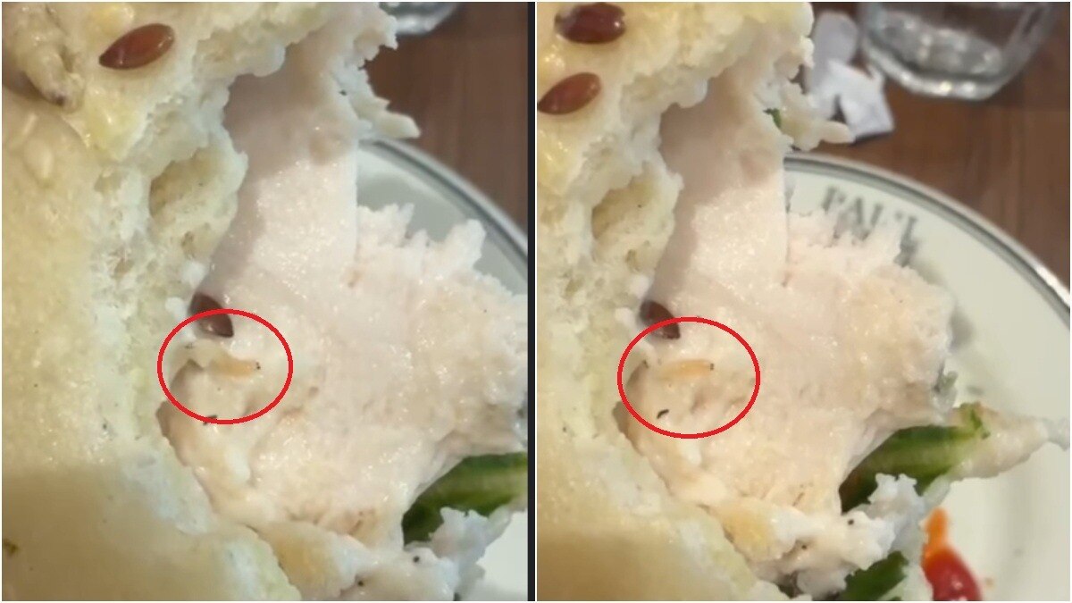 Live worm found in food at high-end Gurugram restaurant; diner calls out hygiene lapse, video racks up 1.3M views