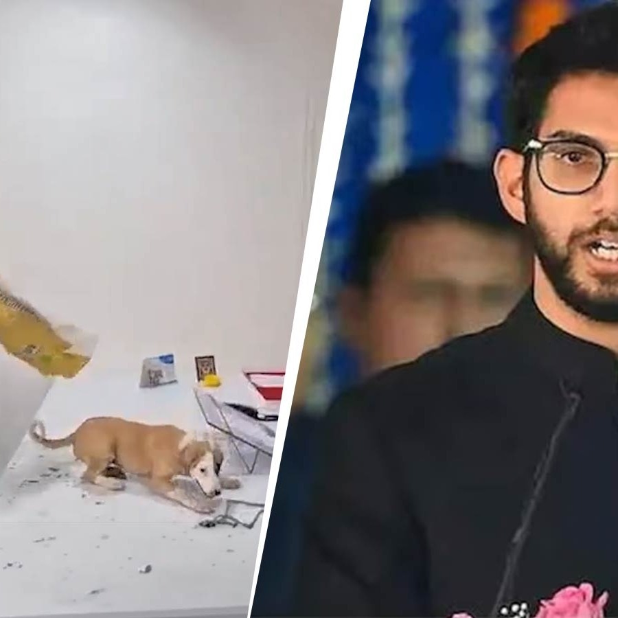 Disturbed by video: Aditya Thackeray pulls up Yuva Sena leader over puppy protest
