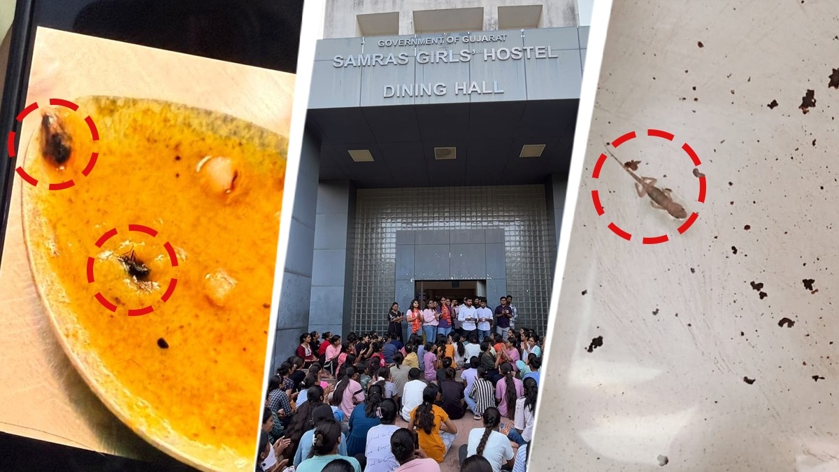 Worms in food, lizard in water at Ahmedabad hostel; students say complaints ignored
