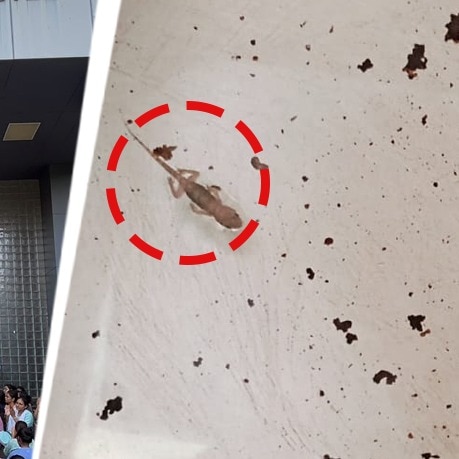 Worms in food, lizard in water at Ahmedabad hostel; students flag negligence