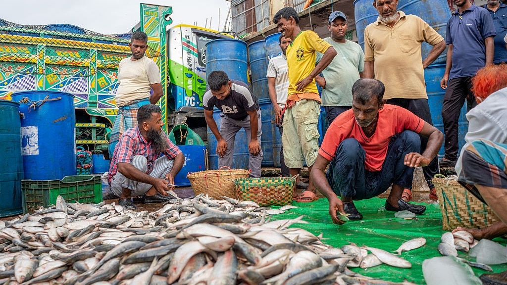 Gujarat hilsa sold as Padma hilsa in Bangladesh, Dhaka stops imports from India