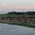 Bangladeshis Padma river Bangladeshis Padma river