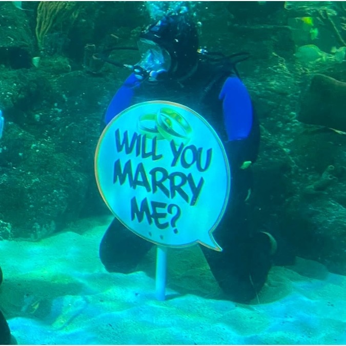UK man proposes to girlfriend underwater, with sharks as his witnesses