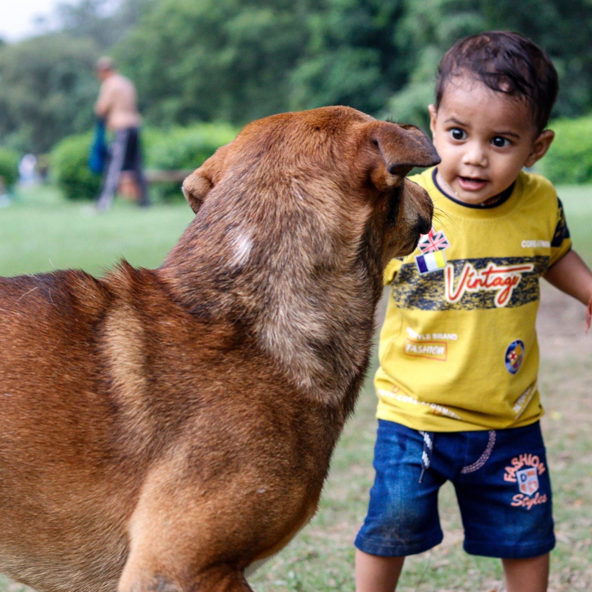 Rabies vaccine before a dog bite: Which children actually need it?