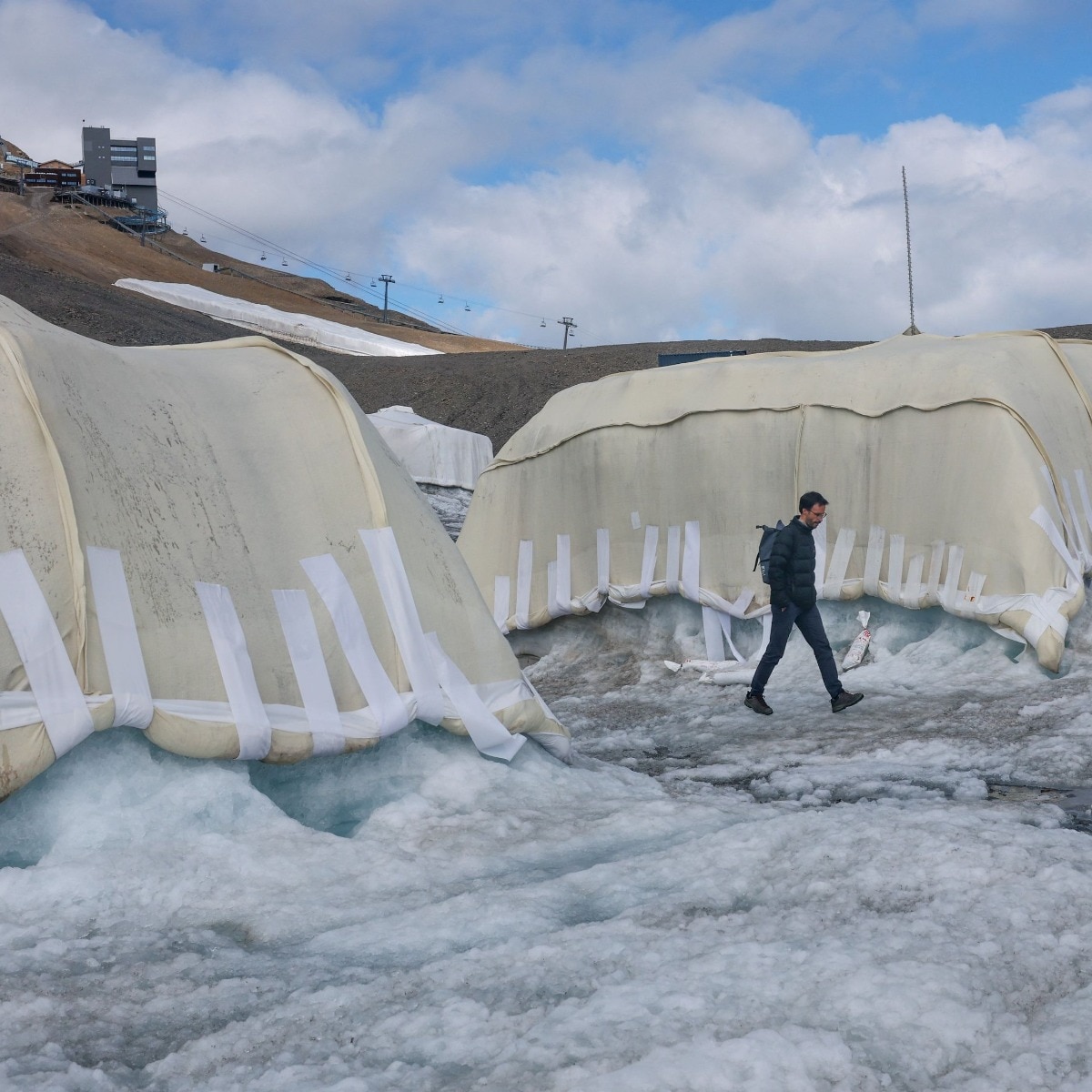 Can sheep save melting glaciers? Swiss scientists put wool to the test