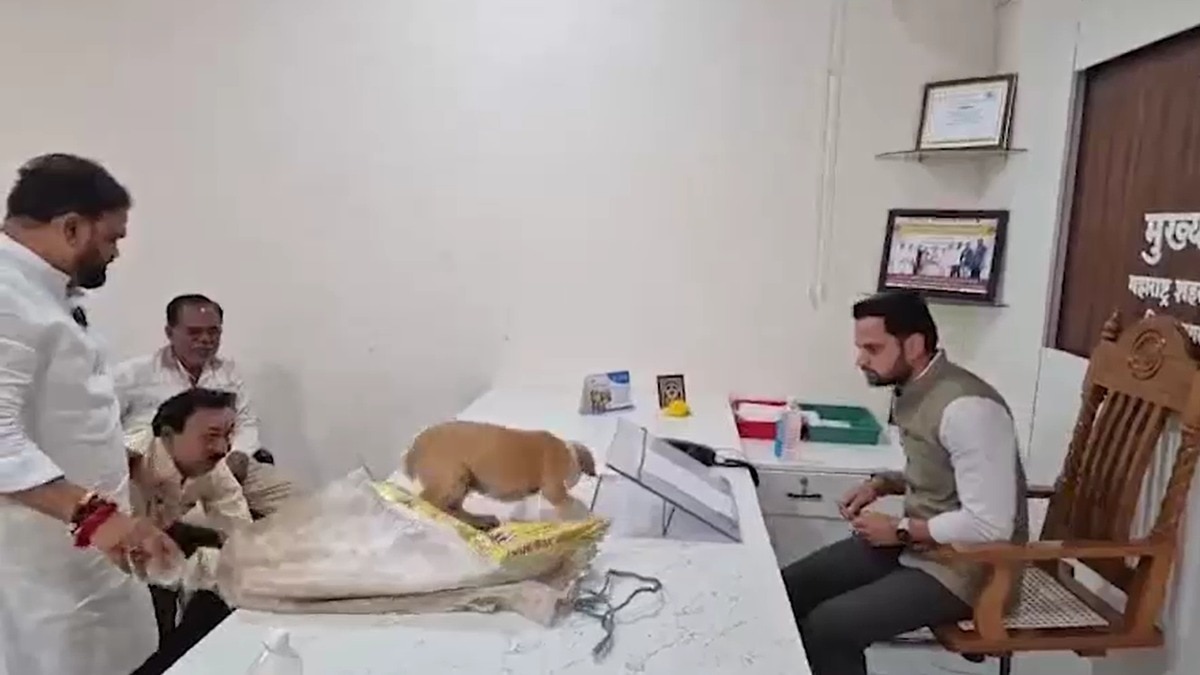Case against Sena workers for placing dogs on official's desk over stray menace