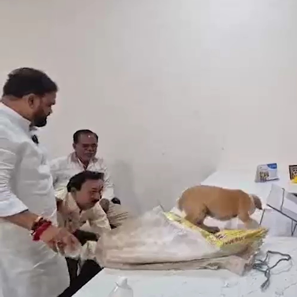 Case against Sena workers for placing dogs on official's desk over stray menace