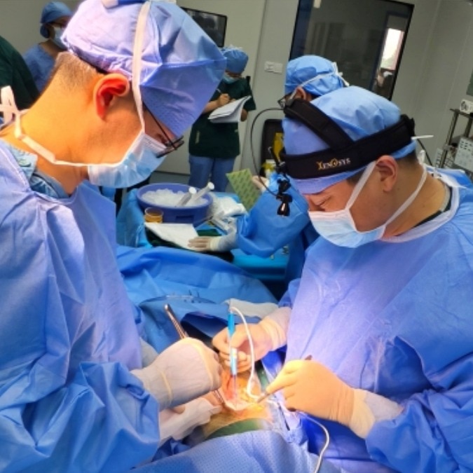 Pig to human organ transplants: Wheels set in motion in India