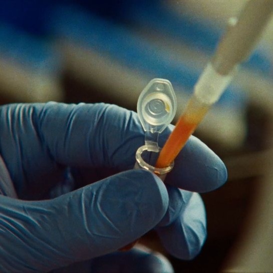 Claude AI helped discover novel enzyme system that looks like CRISPR: Anthropic
