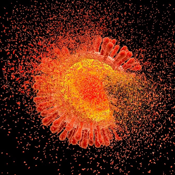 Altering bird flu, chikungunya: Was Claude tasked to weaponise viruses?