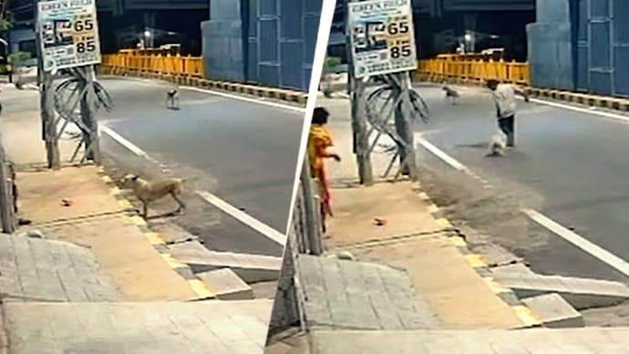 The CCTV footage has emerged as a key piece of evidence in the investigation. (Screengrab/Thudiyalur police) Coimbatore Dogs