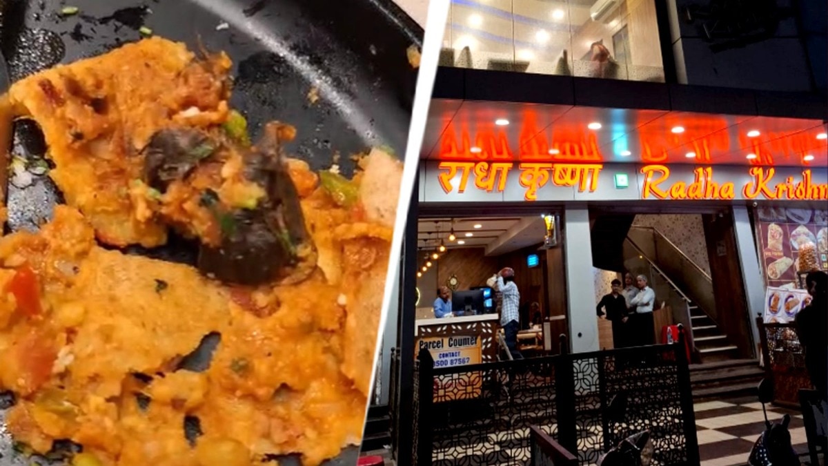 Man vomits after finding dead rat in dosa, Mundhe's team shuts eatery down