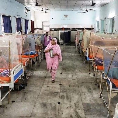 Chennai civic body steps up dengue control as city sees 650 cases in September