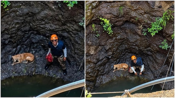 Dogs fall into 60-foot well, rescue team makes 90 km trip for risky operation Dogs fall into 60-foot well, rescue team makes 90 km trip for risky operation