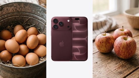eggs, iPhone 18 pro, Apples eggs, iPhone 18 pro, Apples
