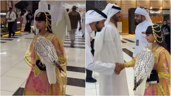 A rare falcon was auctioned at an event in Abu Dhabi at Rs 3.85 crore. (Photos: Instagram/@ali.aljabri2) falcon