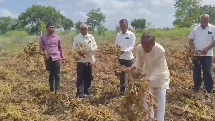 At its core, the model is about collective participation. (File Photo: ITG) farmers crop
