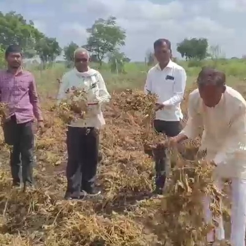 How Farmer Producer Organisations are creating more value for UP cultivators