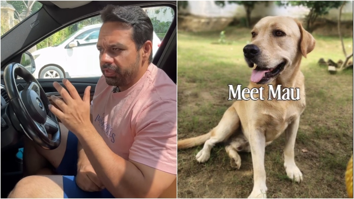 Gaurav Taneja broke his silence on the death of his labrador named Mau. (Photos: taneja.gaurav) gaurav taneja