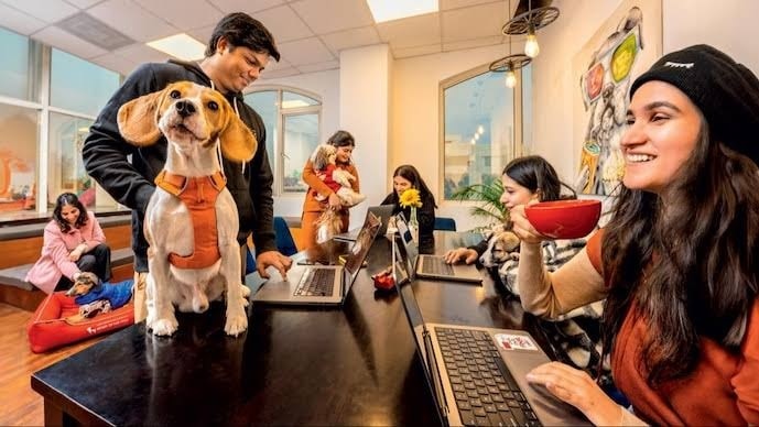 60% of Gen Z feel upskilling burnout as AI continues to haunt