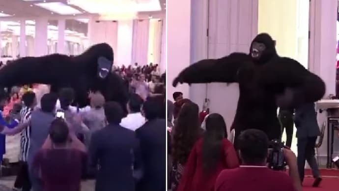 giant dancing ‘gorillas’ are taking over parties in Pakistan (Photos: AFP) giant dancing ‘gorillas’ are taking over parties in Pakistan