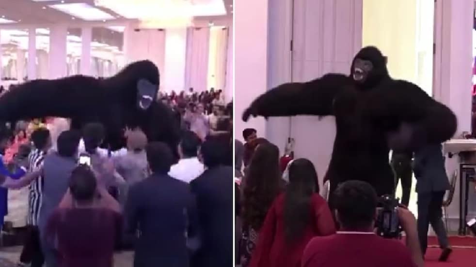 giant dancing ‘gorillas’ are taking over parties in Pakistan (Photos: AFP)