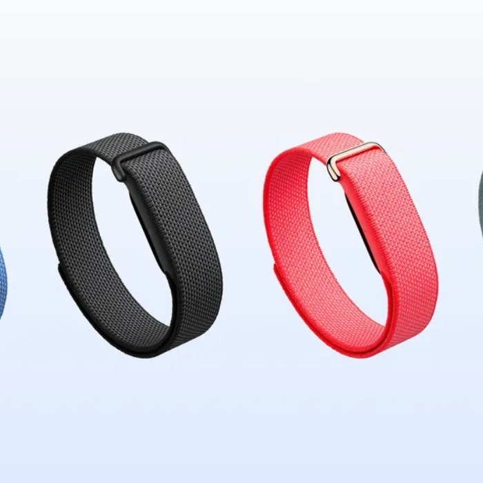 Google brings Fitbit Air to India: Price, availability, features and everything to know