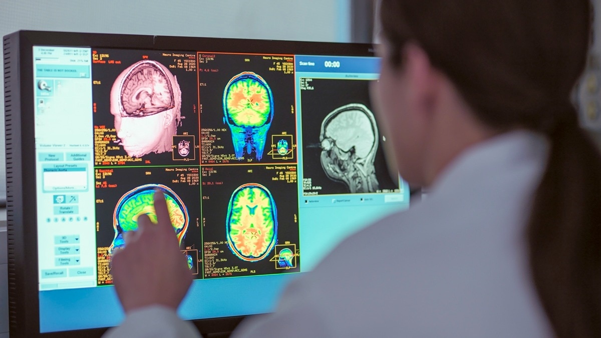 Human brain is not a single organ. New discovery could rewrite medicine