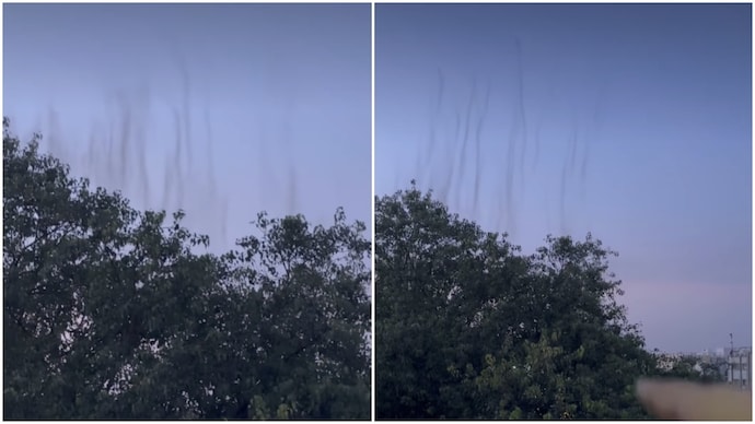Hyderabad woman thought she saw smoke above trees, then came the bizarre reveal (Photos: @monicajuyal.official/Instagram) Hyderabad woman thought she saw smoke above trees, then came the bizarre reveal