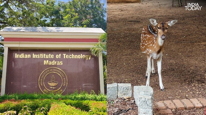 I spent a week living inside IIT Madras, a forest campus of deer and blackbucks where they are building flying taxis, homegrown rockets, a cancer vaccine and a cell-by-cell map of the human brain. (Photo: Radifah Kabir/India Today) I spent a week living inside IIT Madras, a forest campus of deer and blackbucks where they are building flying taxis, homegrown rockets, a cancer vaccine and a cell-by-cell map of the human brain. (Photo: Radifah Kabir/India Today)
