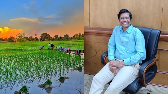 IIT Madras director V. Kamakoti says the institute is exploring precision agriculture to grow rice and sugarcane on far less water. (Photo: Unsplash/India Today) IIT Madras director V. Kamakoti says the institute is exploring precision agriculture to grow rice and sugarcane on far less water. (Photo: Unsplash/India Today)