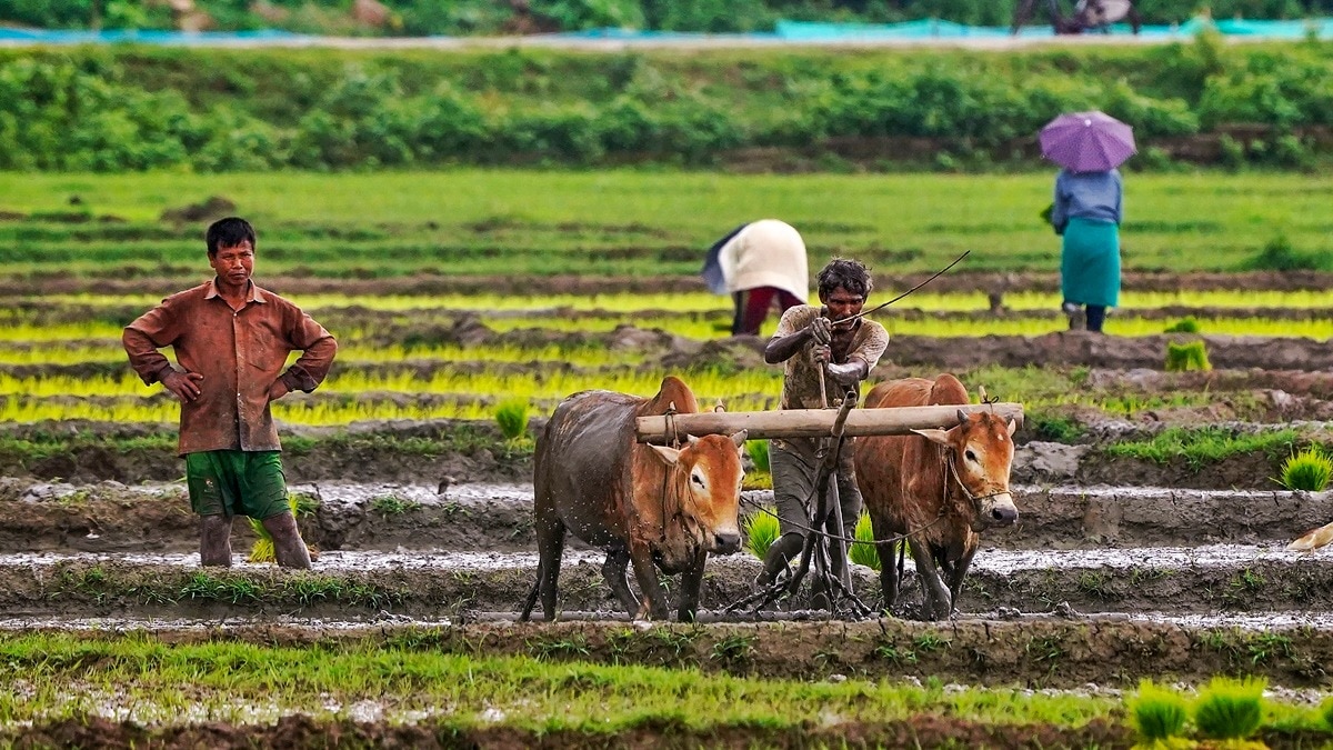Telangana farmers force open canal gates to save crops after irrigation water denied