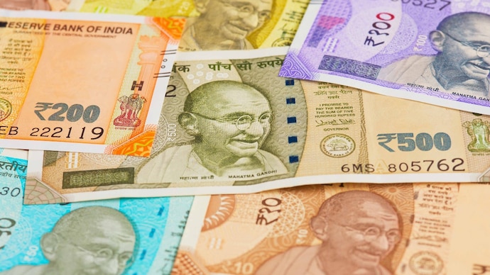Damaged old and new currency notes and documents found near Central Park in Visakhapatnam. (Representative image) Indian Currency