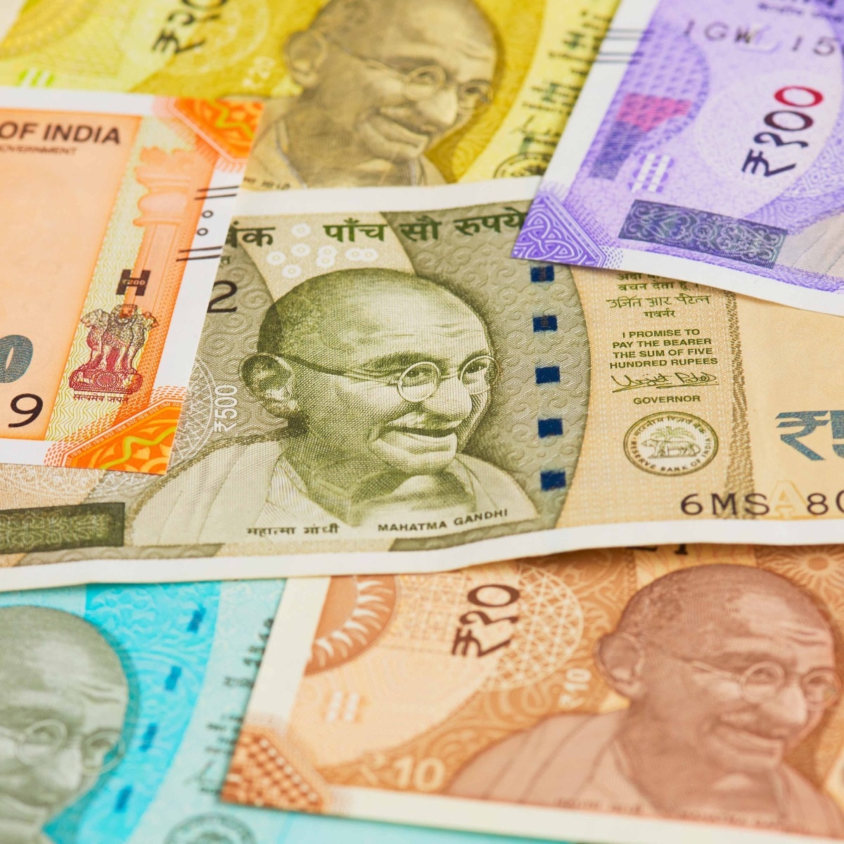 Damaged old, new currency notes and documents found near Visakhapatnam park