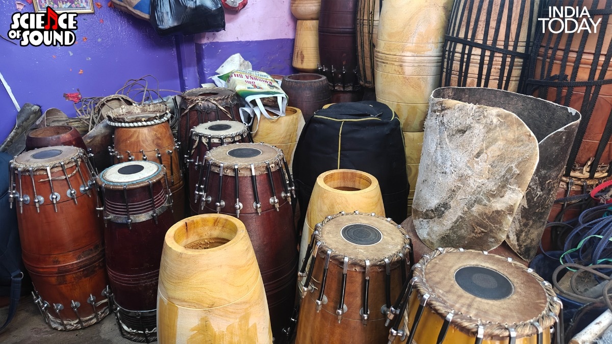 How Chennai's mridangam makers solved a physics puzzle centuries before CV Raman
