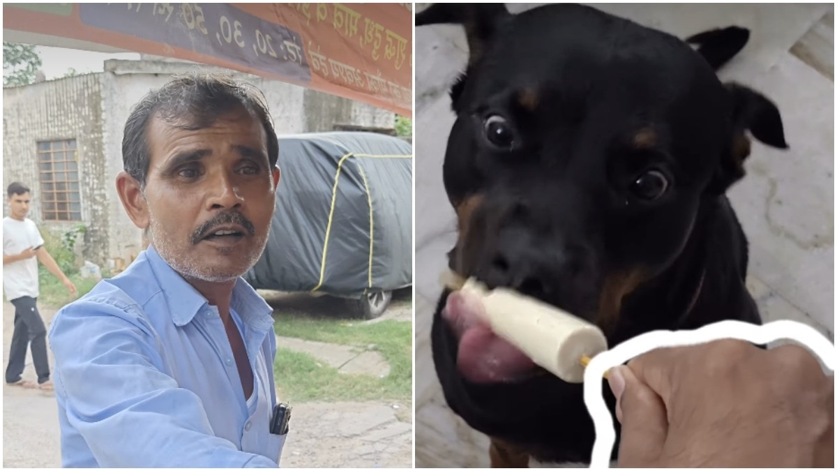 Jaipur Kulfi Vendor Wins Hearts by Crafting Special Sugar-Free Treats for Dogs