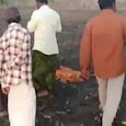 Karnataka's Raichur woman found murdered in field. (Representative image) Karnataka's Raichur woman found murdered in field. (Representative image)