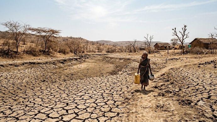 An extended dry spell has created drought-like conditions in several parts of Maharashtra. (AI-generated representative image) Maharashtra drought