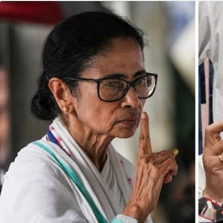 Mamata Banerjee and Ritabrata Banerjee