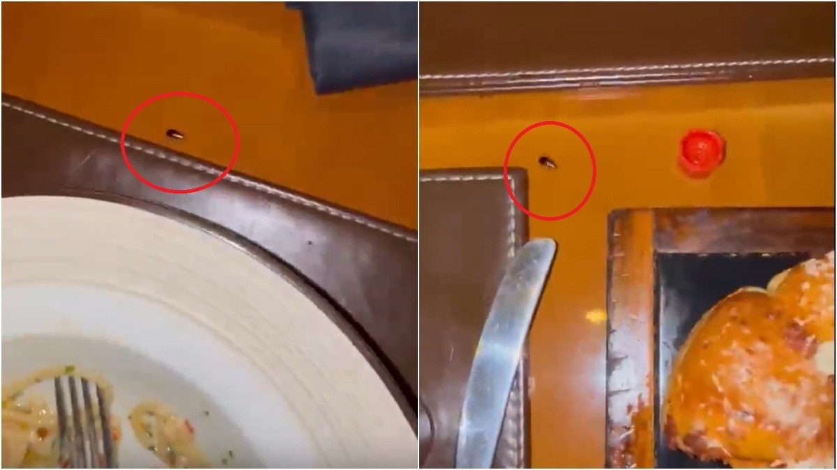 Doctor's sarcastic dig at Mumbai JW Marriott as cockroach crawls around his table