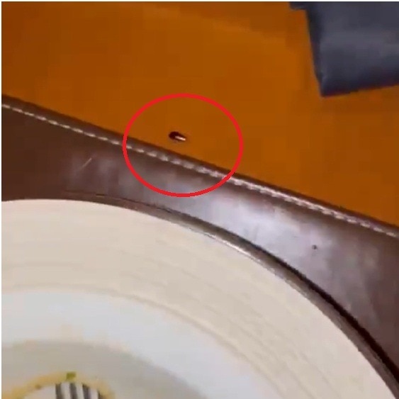 Doctor’s sarcastic dig at Mumbai JW Marriott as cockroach crawls around his table